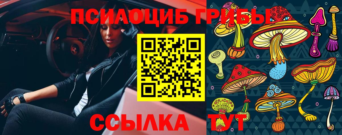 Галлюциногенные грибы Psilocybine cubensis Волгоград